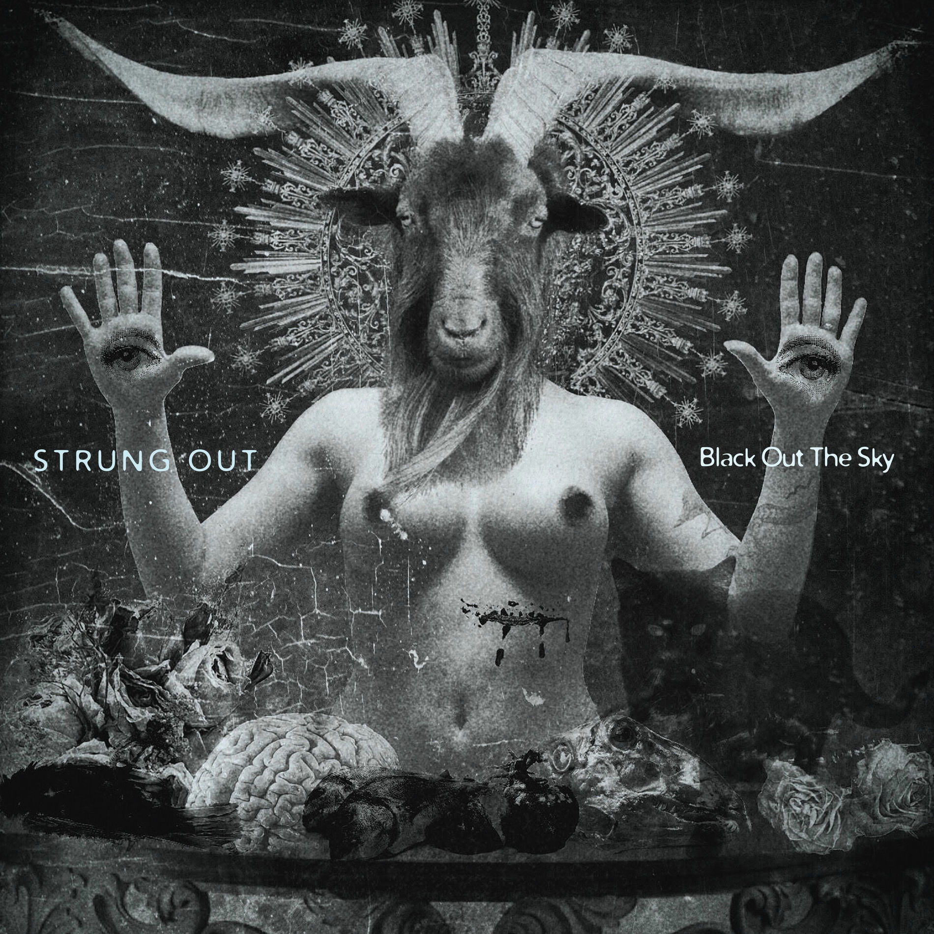 Album cover of Black out the Sky