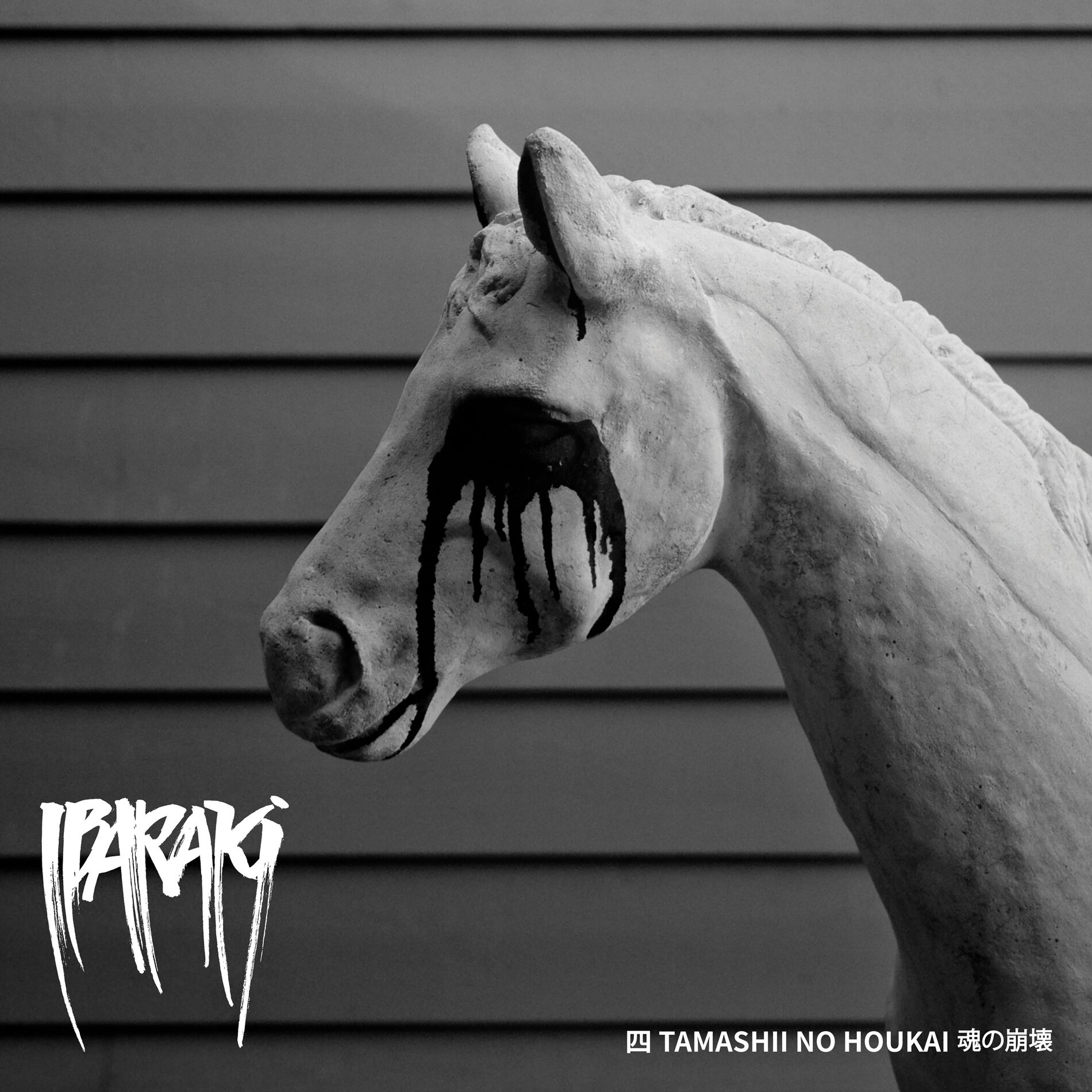 Album cover of Tamashii No Houkai