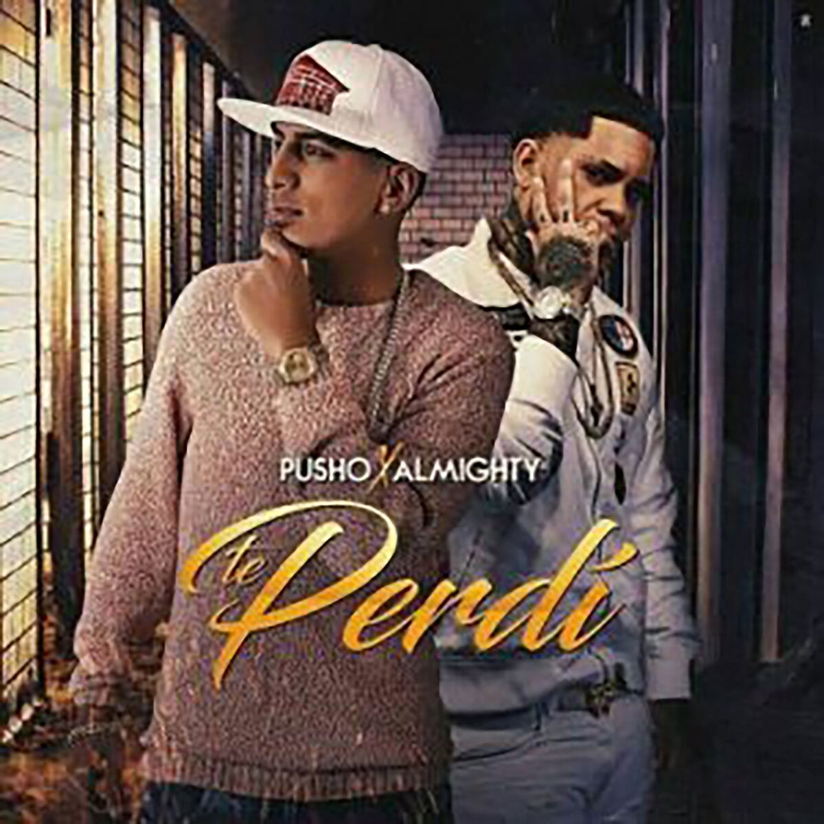 Album cover of Te Perdí