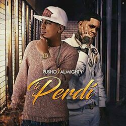 Cover of Te Perdi