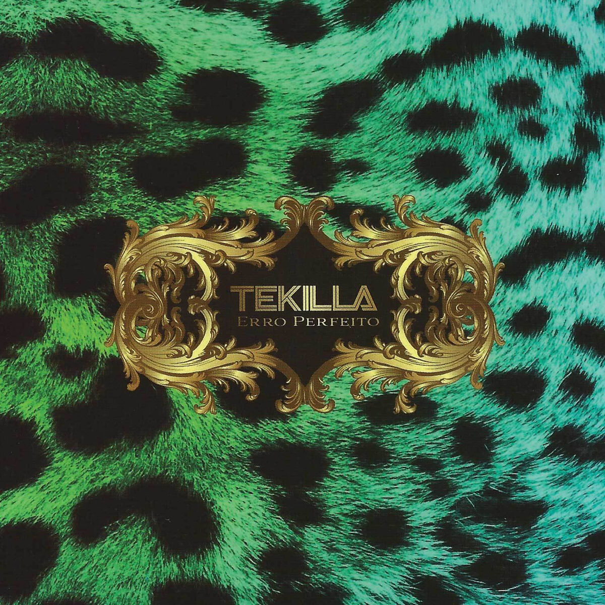 Album cover of Erro Perfeito