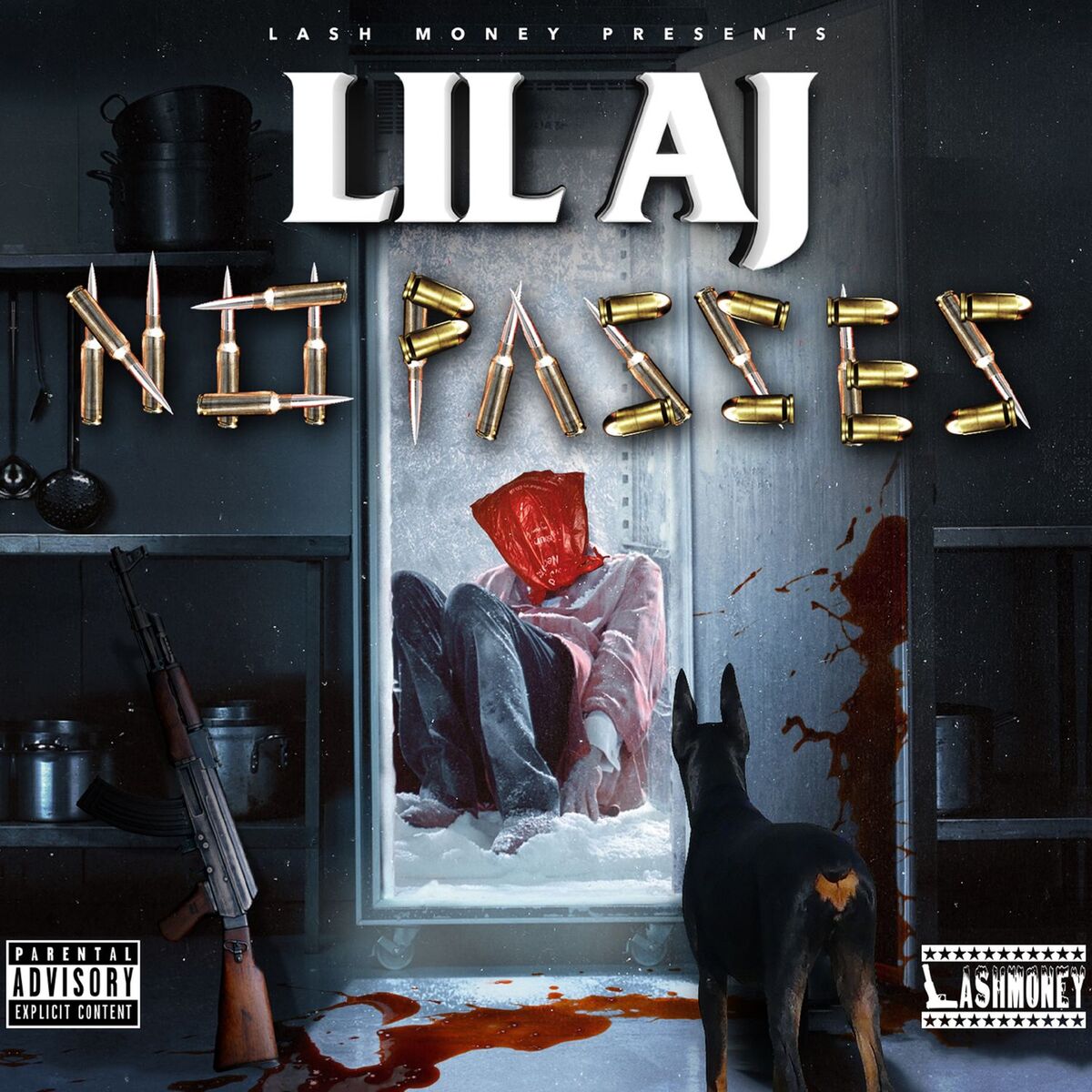 Album cover of No Passes