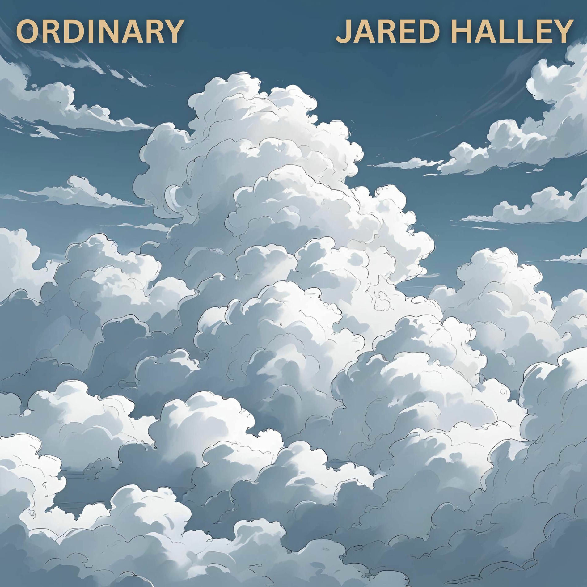 Album cover of Ordinary (Acappella)