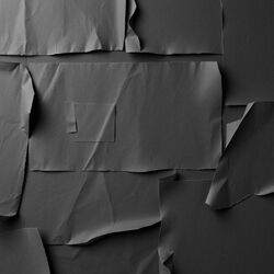 Cover of Paper Walls