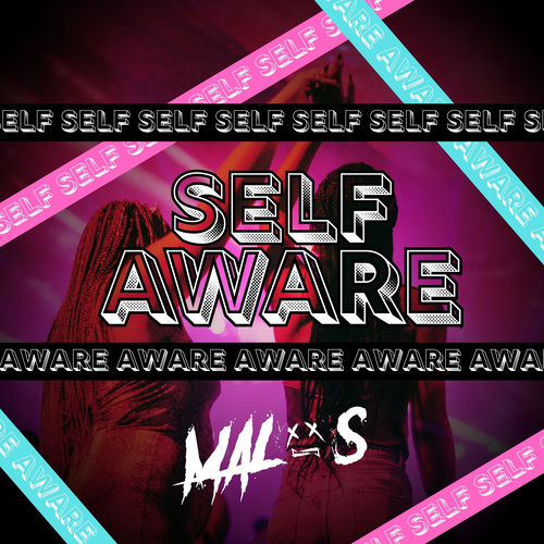 Self Aware (Vixa)