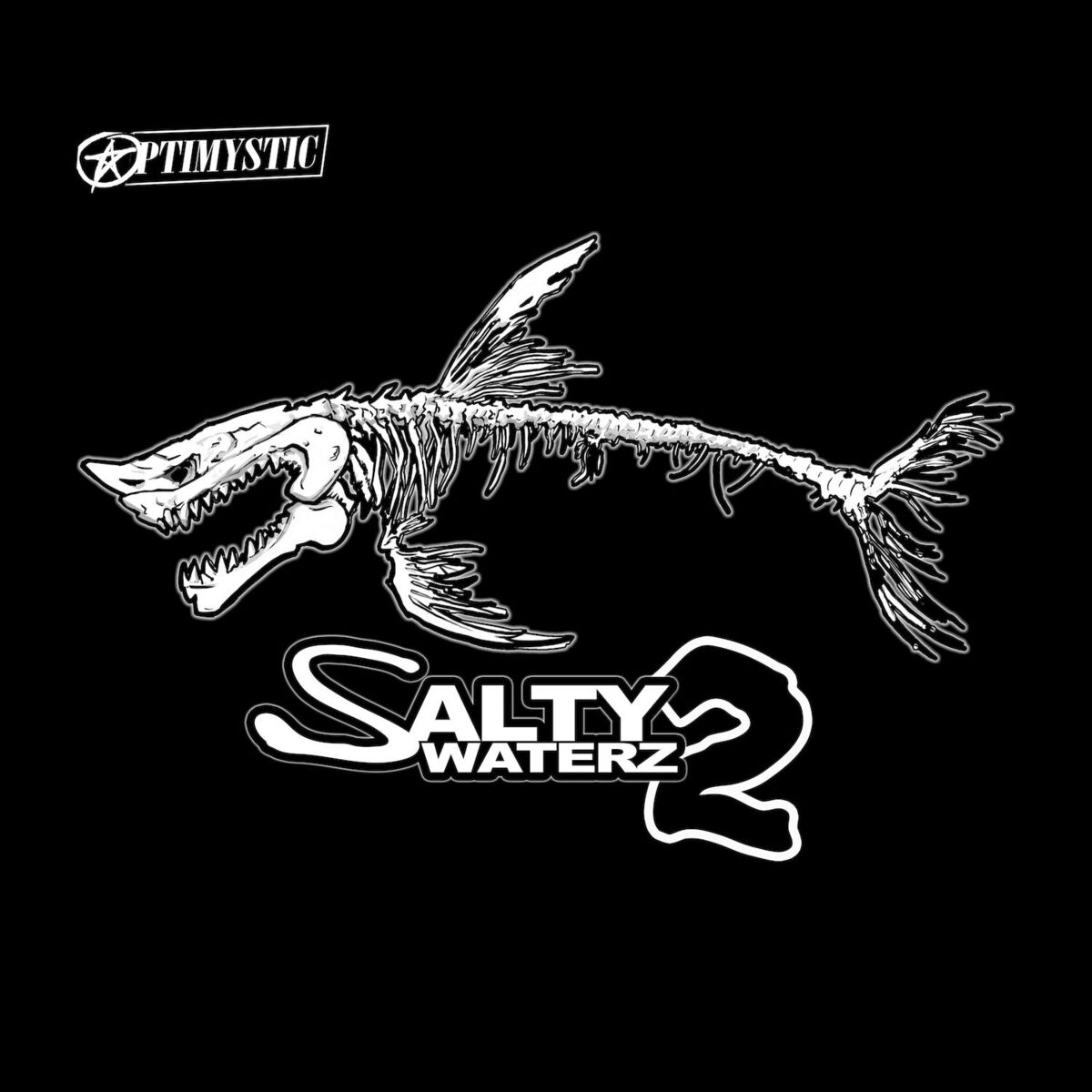 Album cover of Salty Waterz 2
