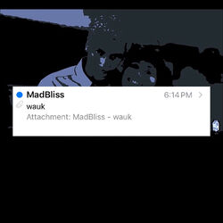 Cover of Wauk