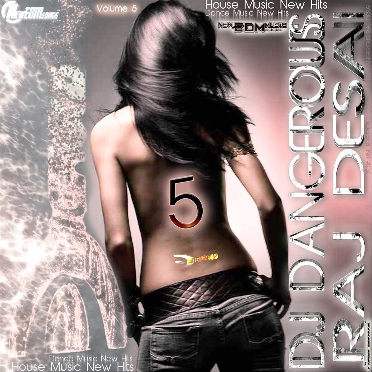 Album cover of House Music New Hits, Dance Music New Hits, Volume 5