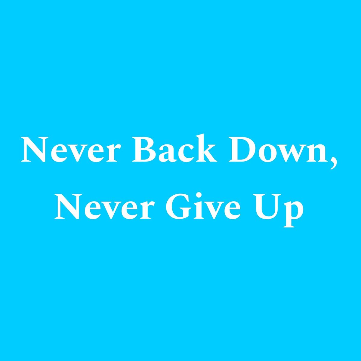 Album cover of Never Back Down, Never Give Up