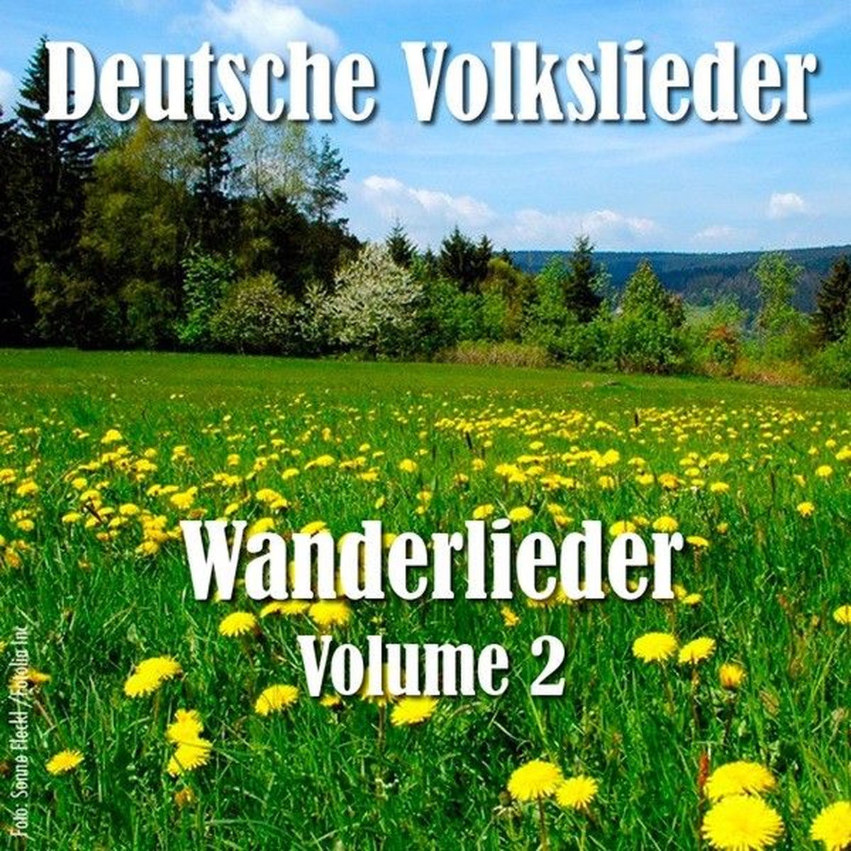 Album cover of Deutsche Volkslieder - Wanderlieder Vol. 2