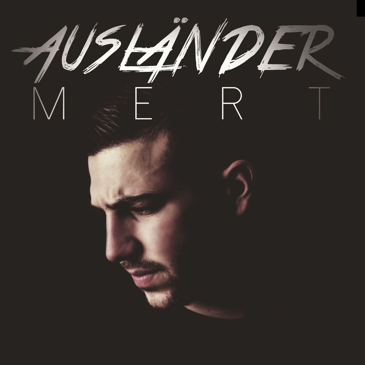 Album cover of Ausländer