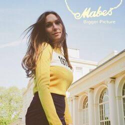 Cover of Bigger Picture