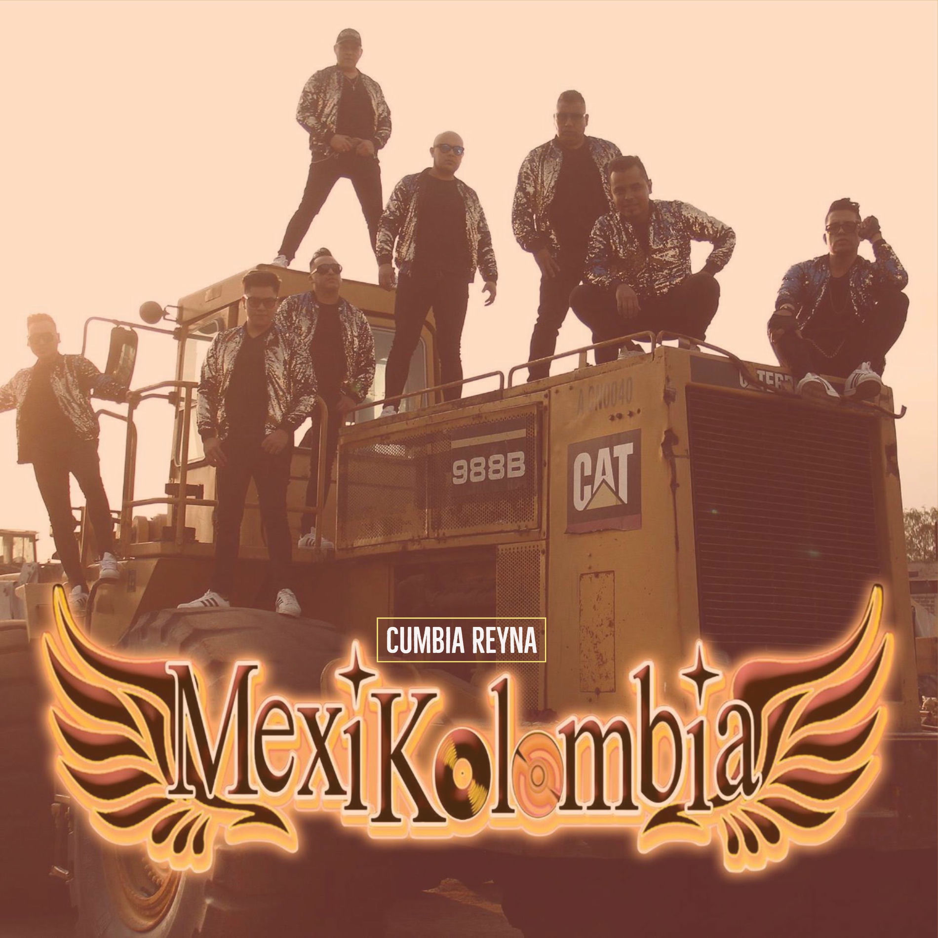 Album cover of Cumbia Reyna