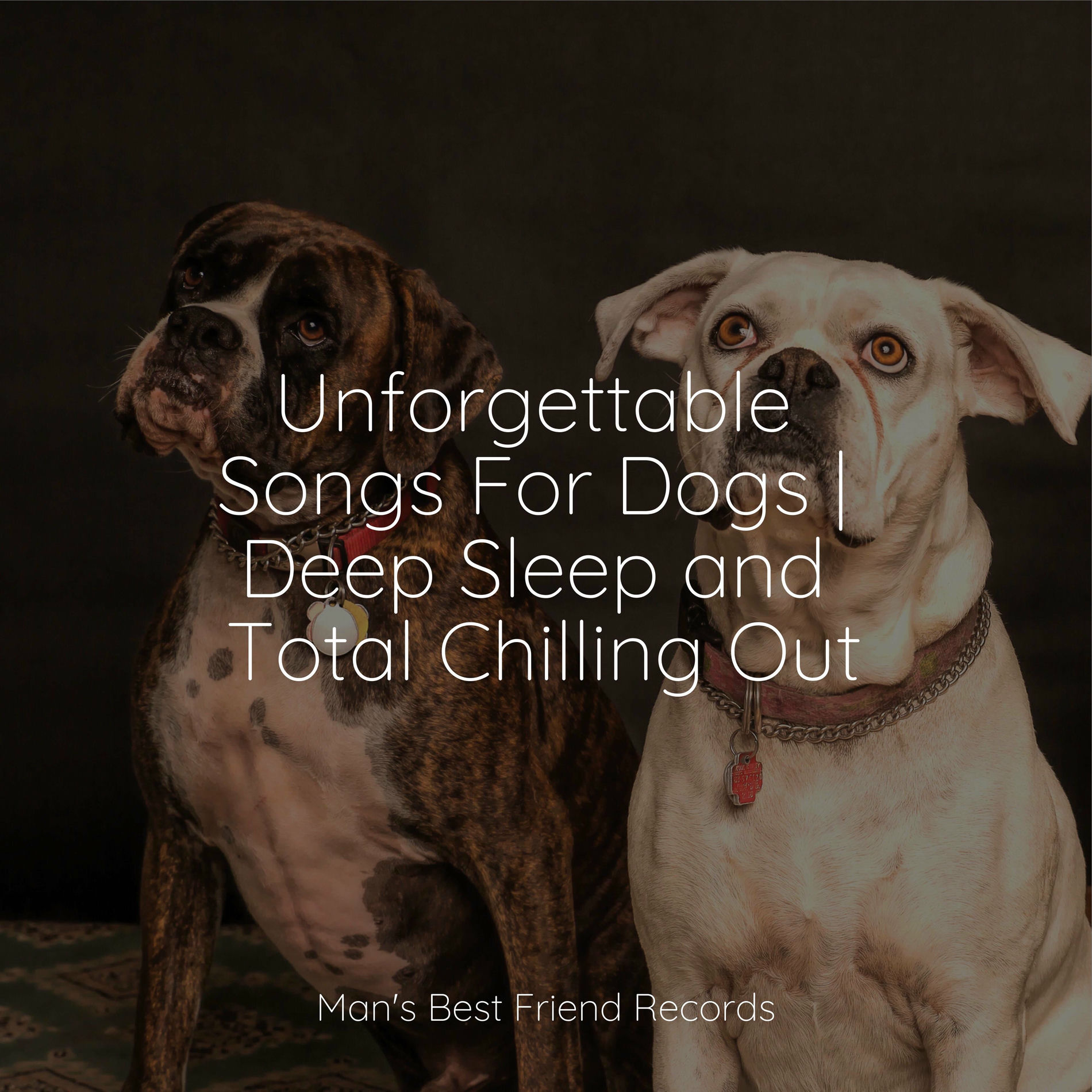 Album cover of Nature Melodies Collection For Dogs