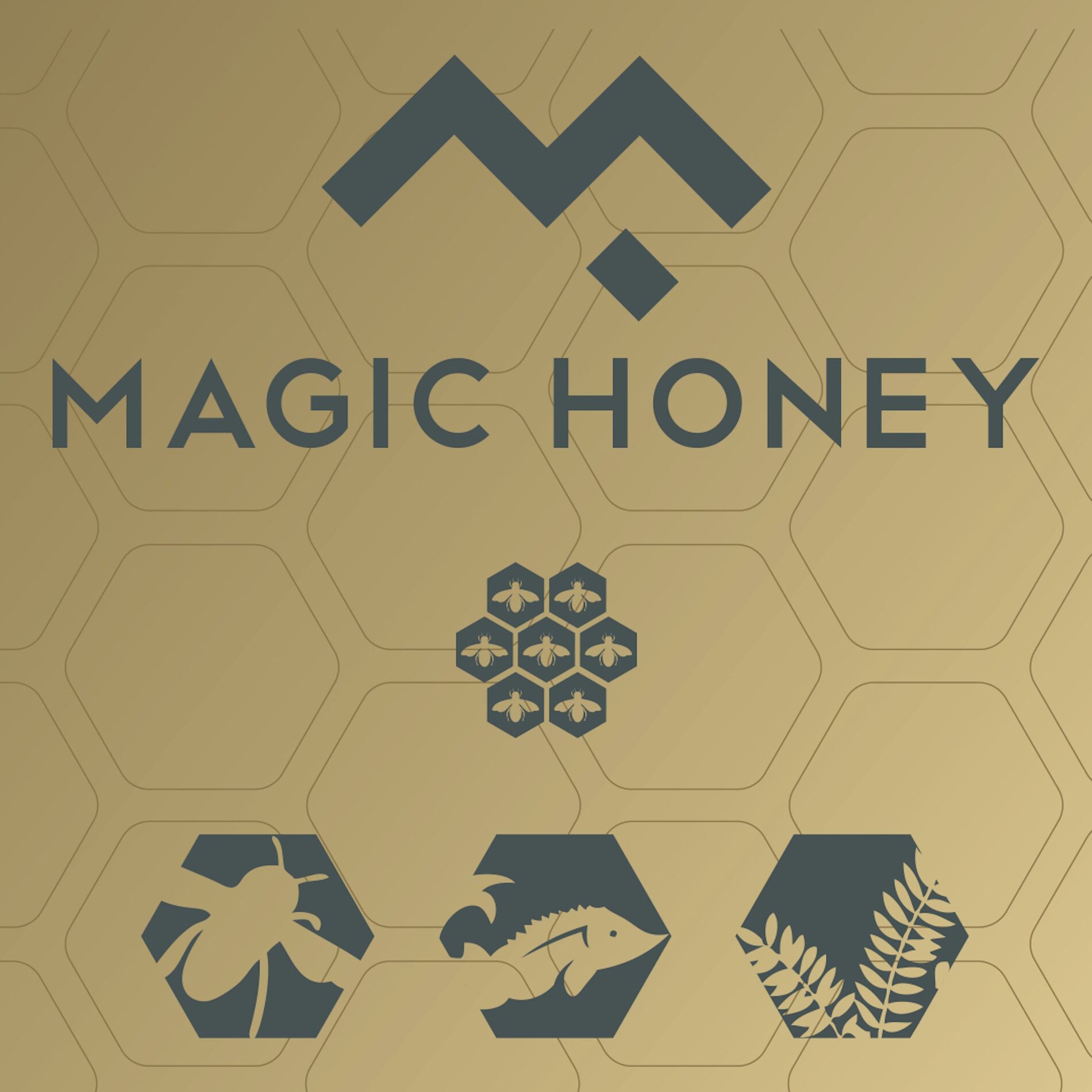Album cover of Magic Honey
