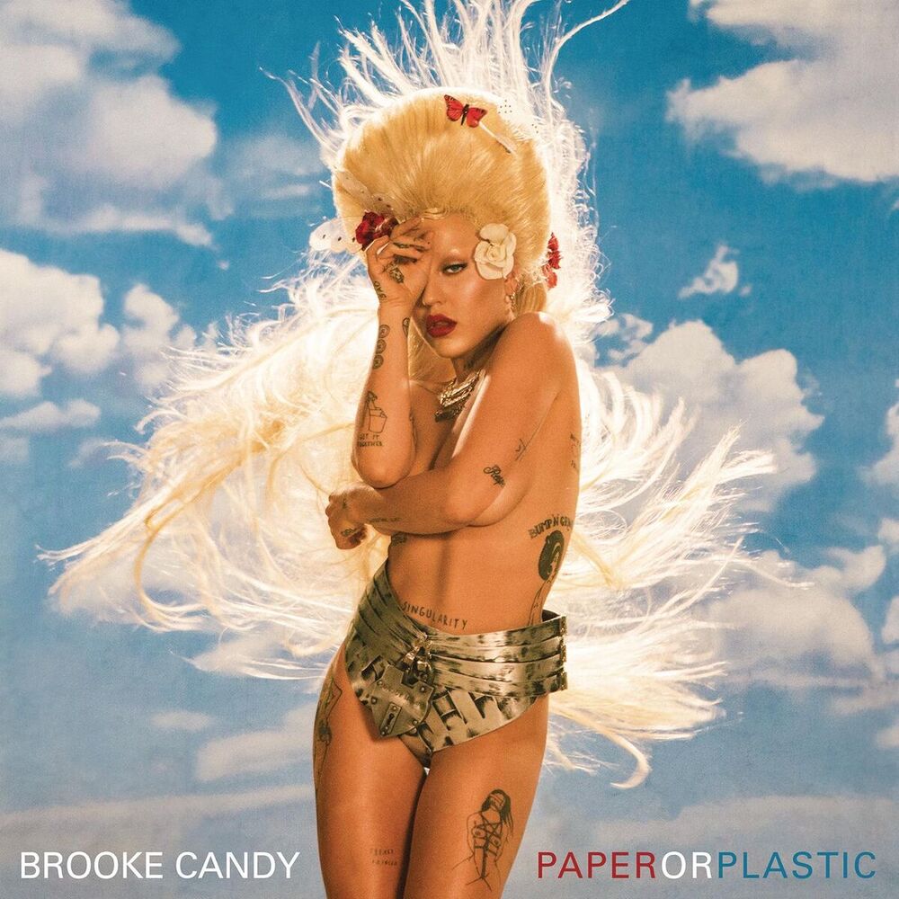Picture of Paper or Plastic