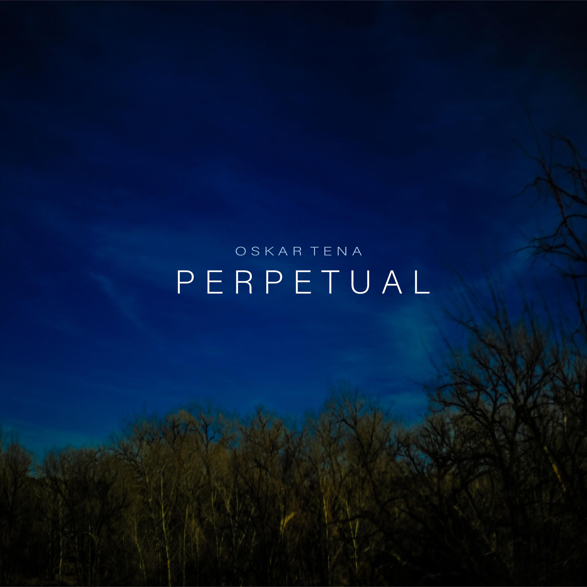 Album cover of Perpetual