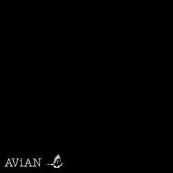 Cover of Avn#002