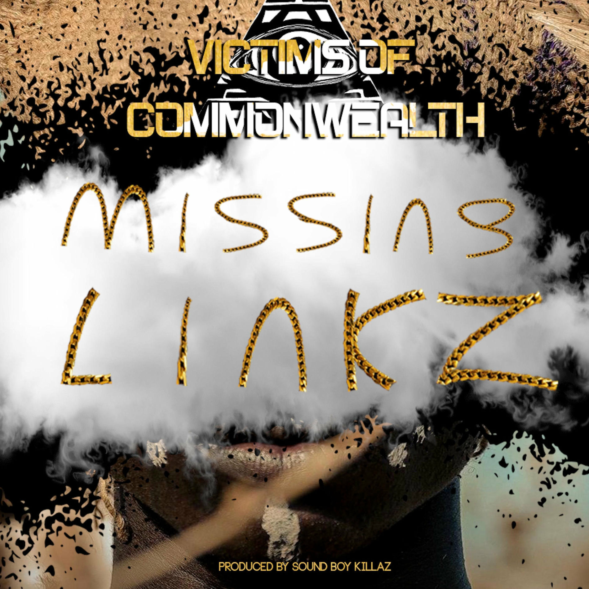 Album cover of Missing Linkz (feat. Ras Dane Jah, Kalif, Uncle Jay & Tip Top)