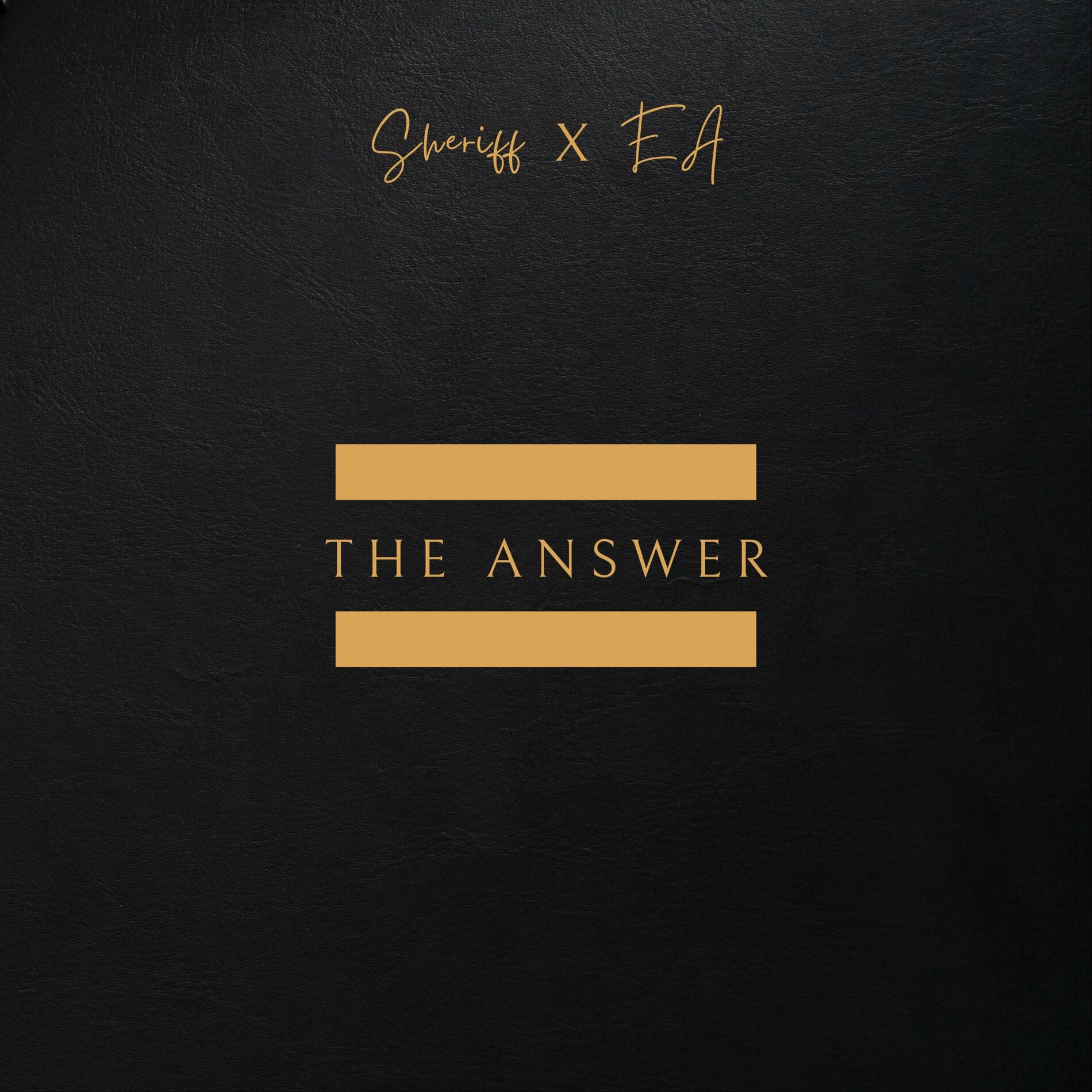 Album cover of The Answer