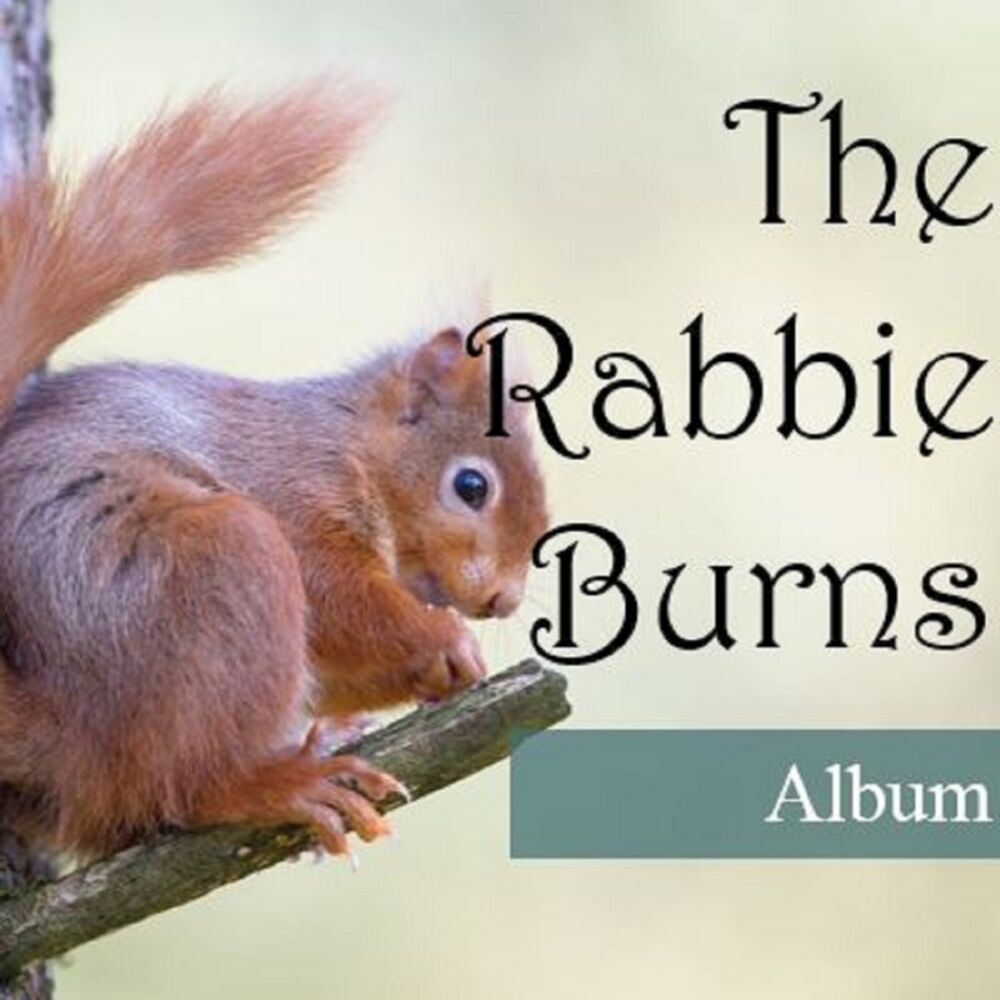 Picture of The Rabbie Burns Album