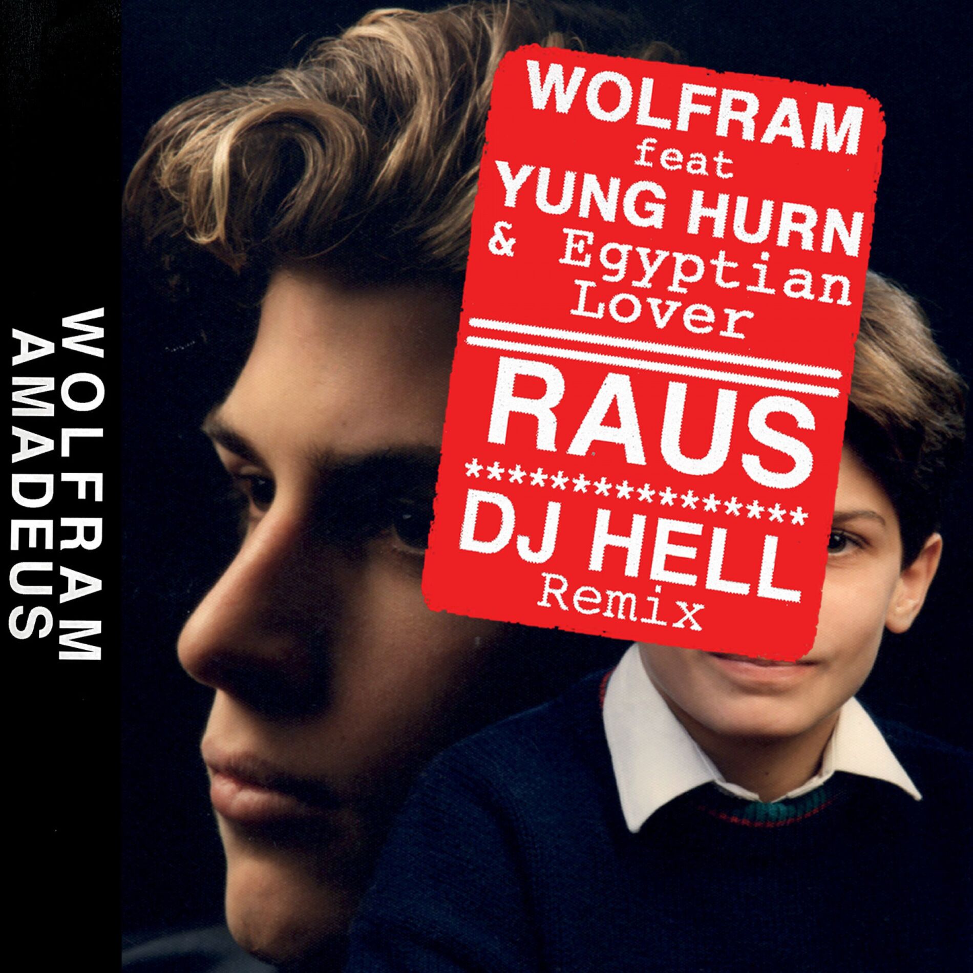 Album cover of Raus (DJ Hell Radio Remix)