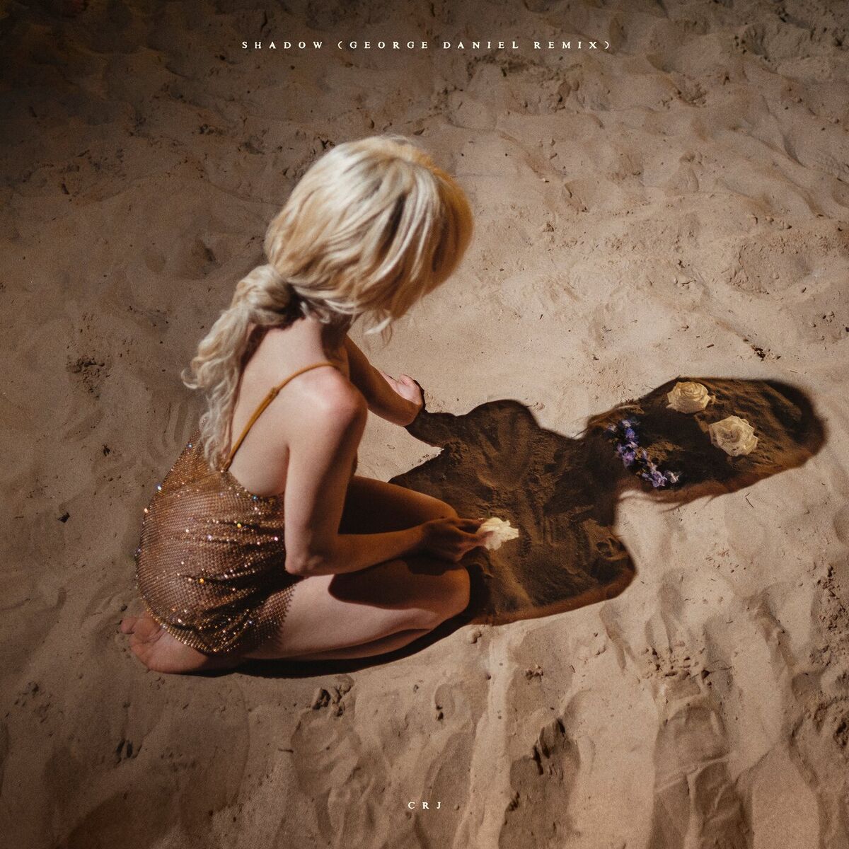 Album cover of Shadow