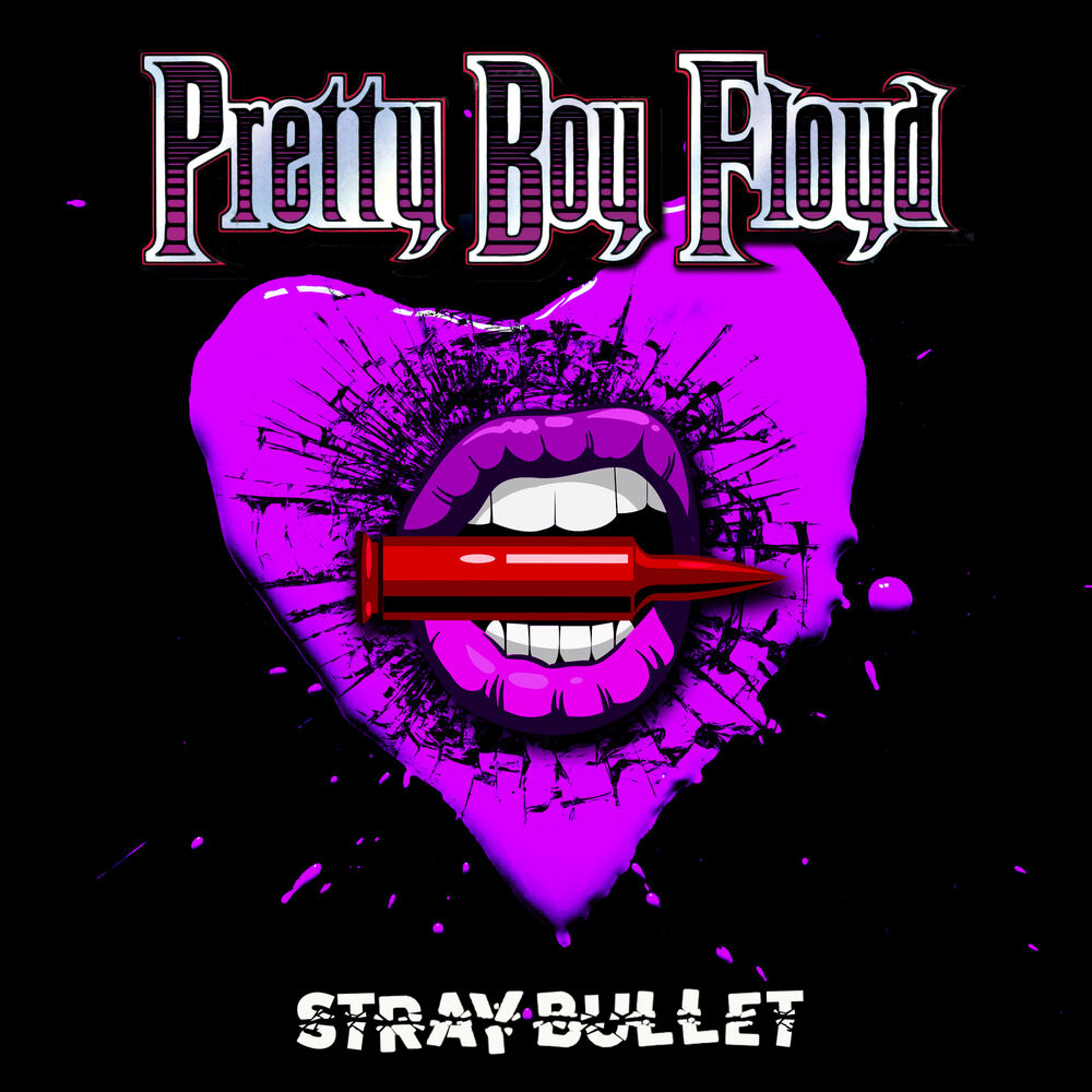 Picture of Stray Bullet
