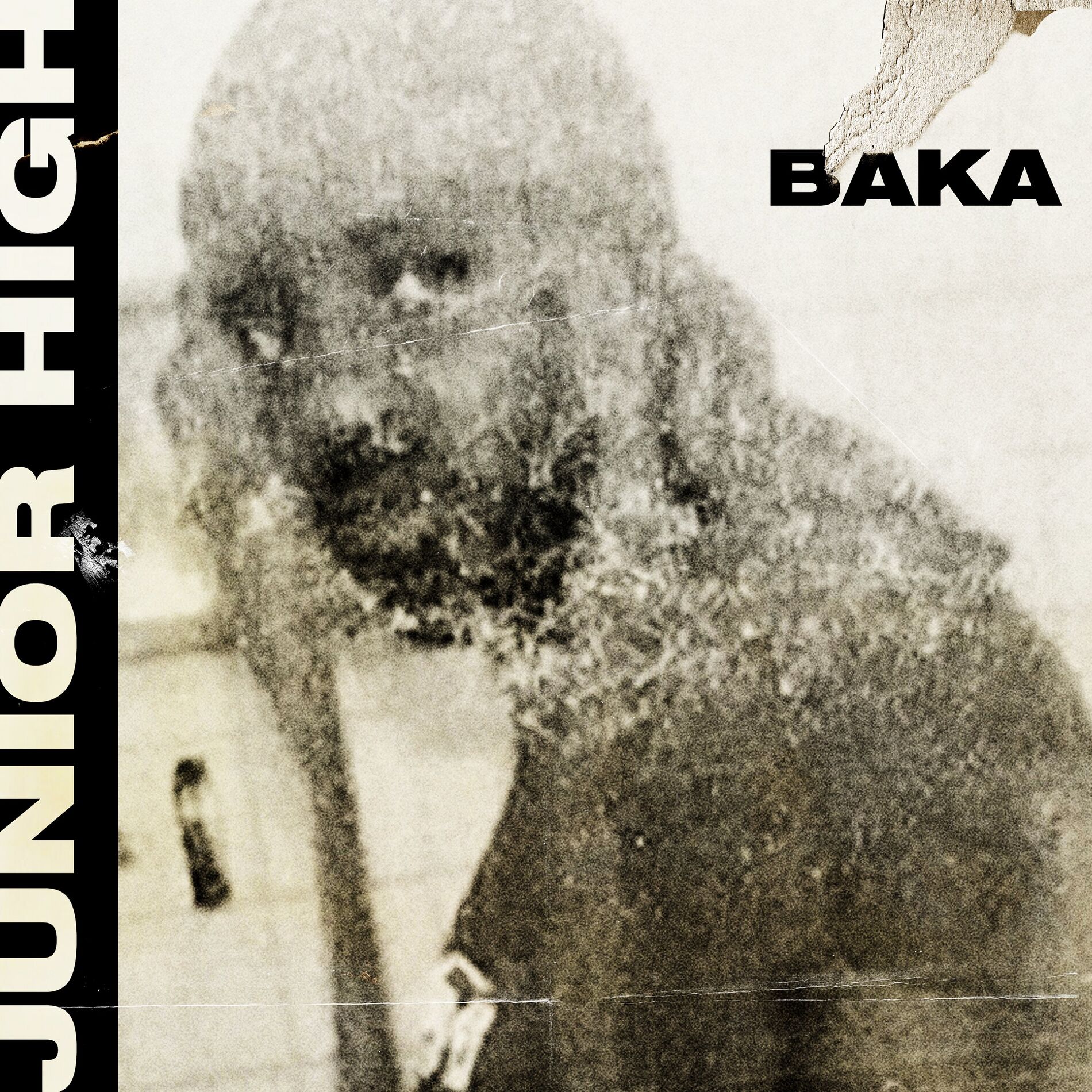Album cover of Junior High