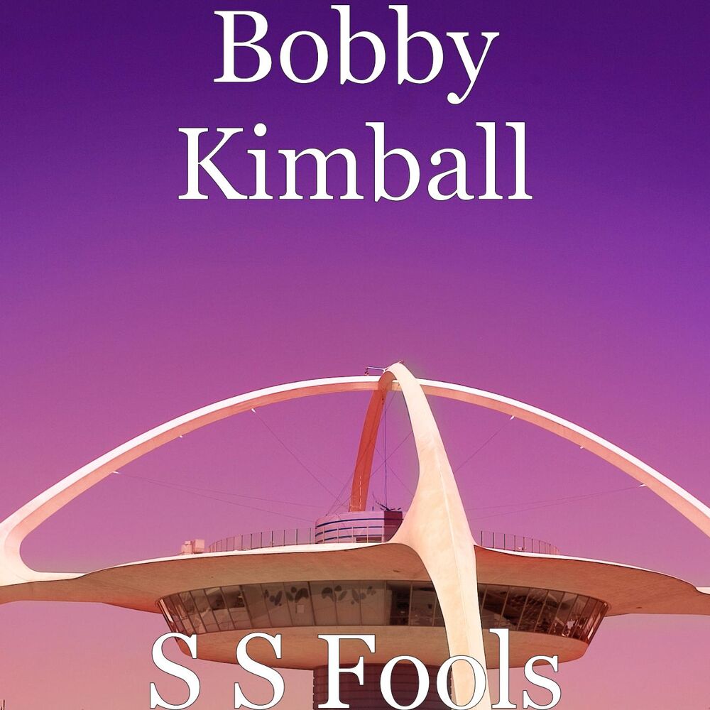 Picture of S S Fools