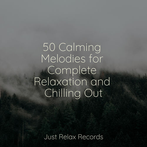 50 Calming Melodies for Complete Relaxation and Chilling Out