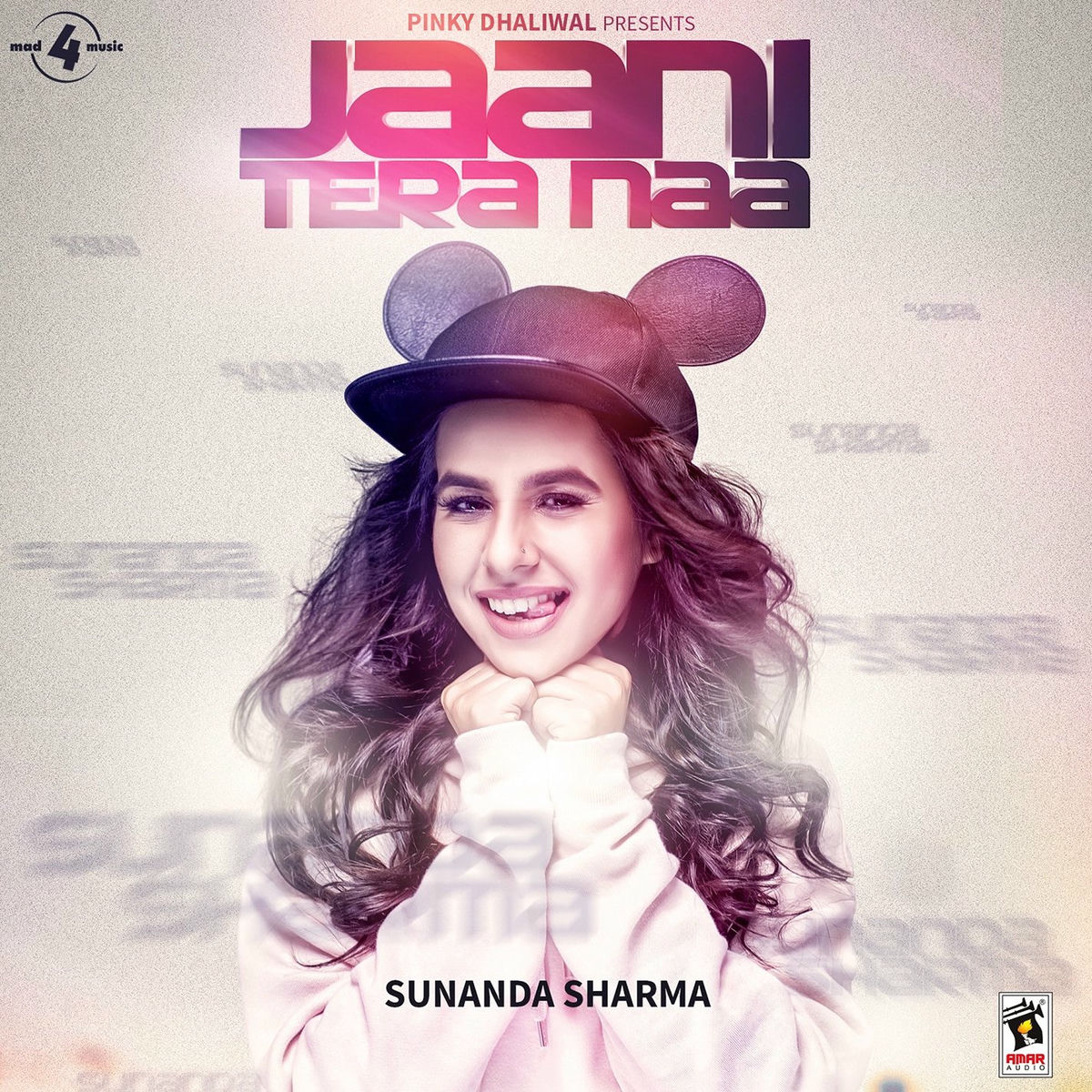 Album cover of Jaani Tera Naa