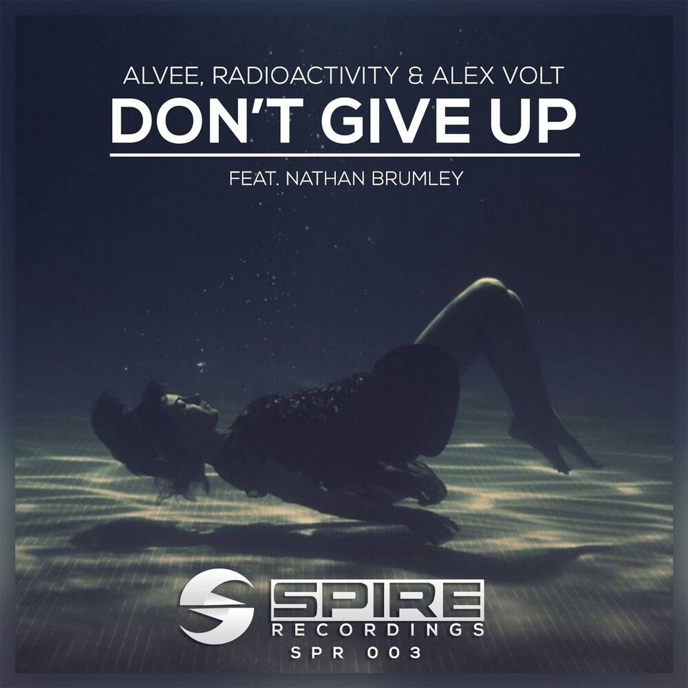 Picture of Don't Give Up