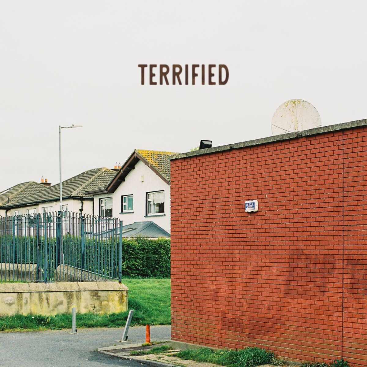 Album cover of Terrified (Live Band Version)