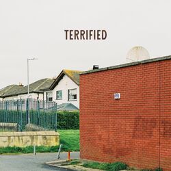 Cover of Terrified (Live Band Version)