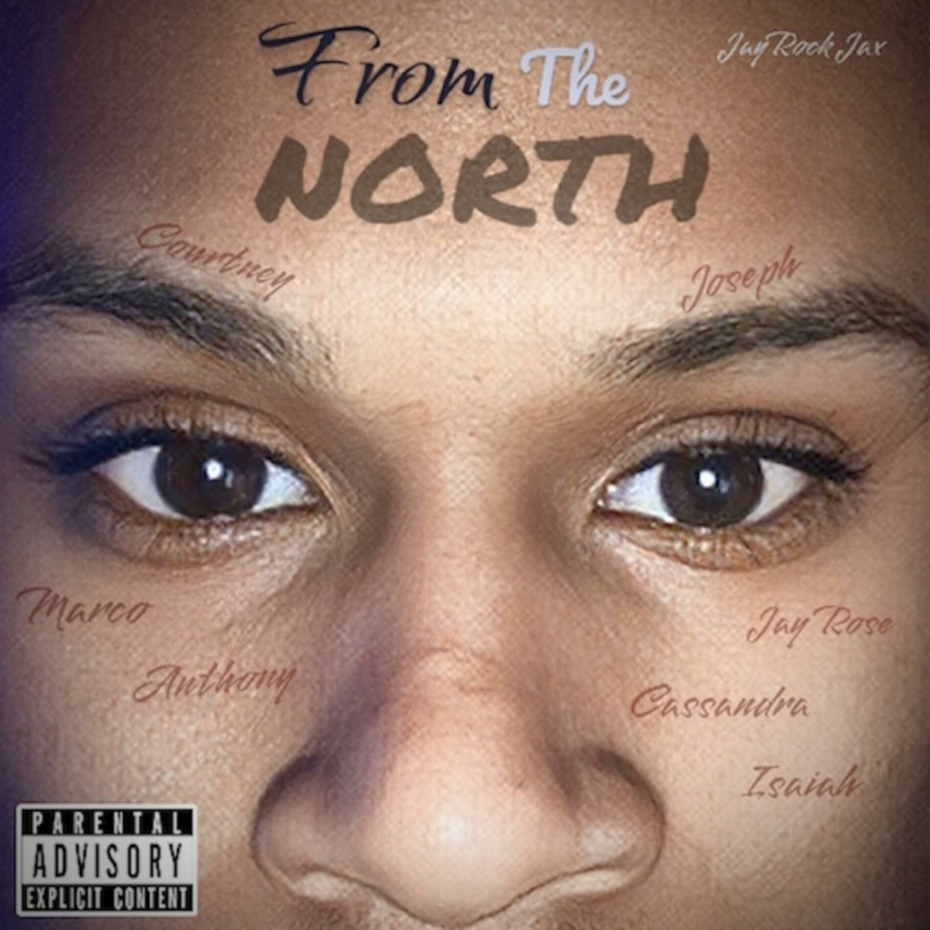 Album cover of FROM THE NORTH