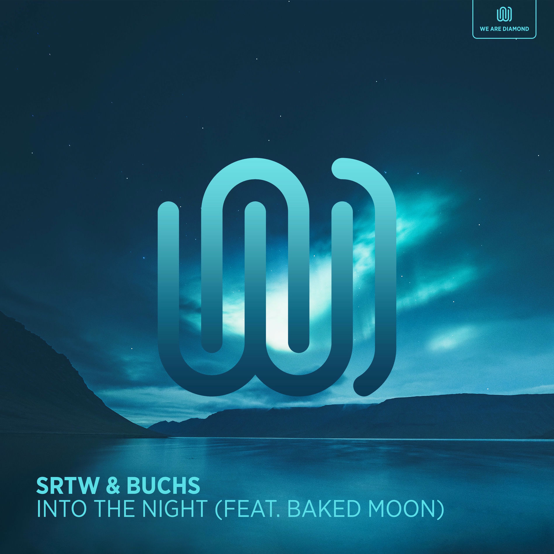Album cover of Into the Night