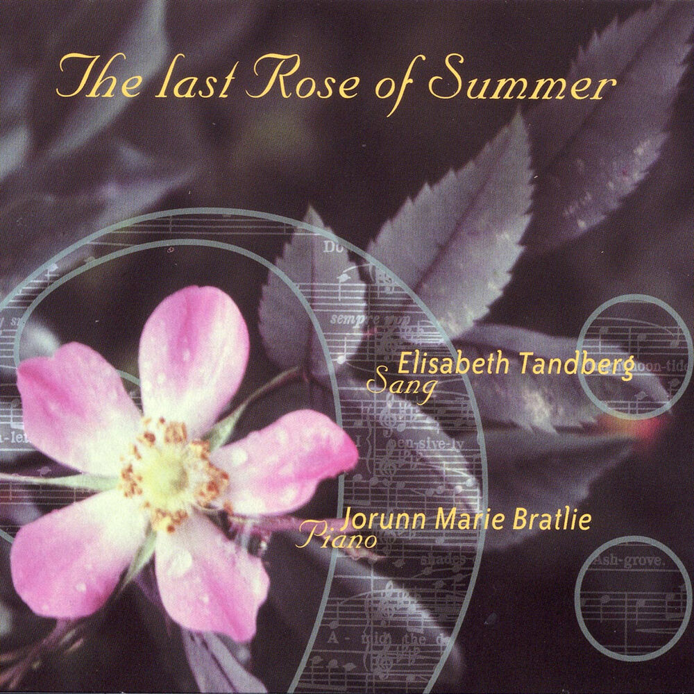 Picture of The Last Rose of Summer