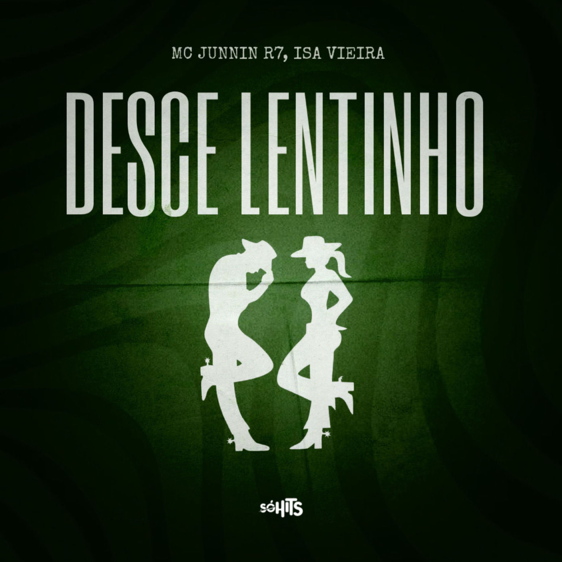Album cover of Desce Lentinho