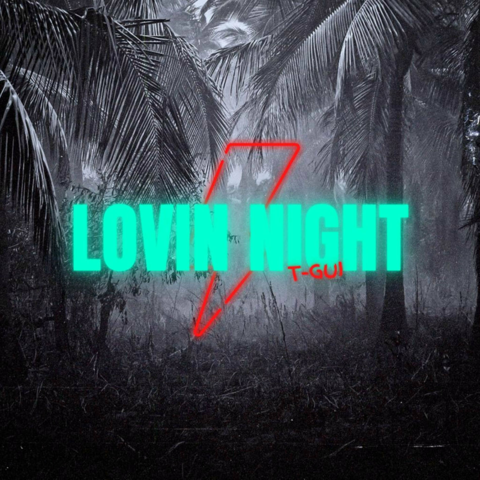 Album cover of Lovin Night