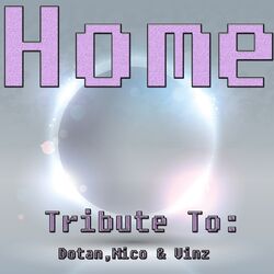Cover of Home: Tribute to Dotan, Nico & Vinz
