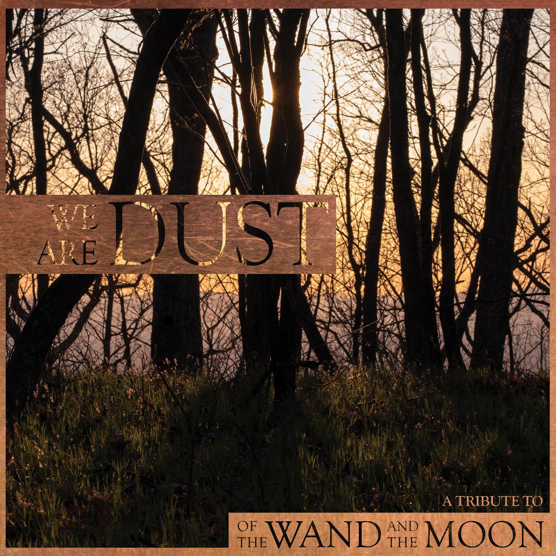 Album cover of We Are Dust - A Tribute To Of The Wand And The Moon