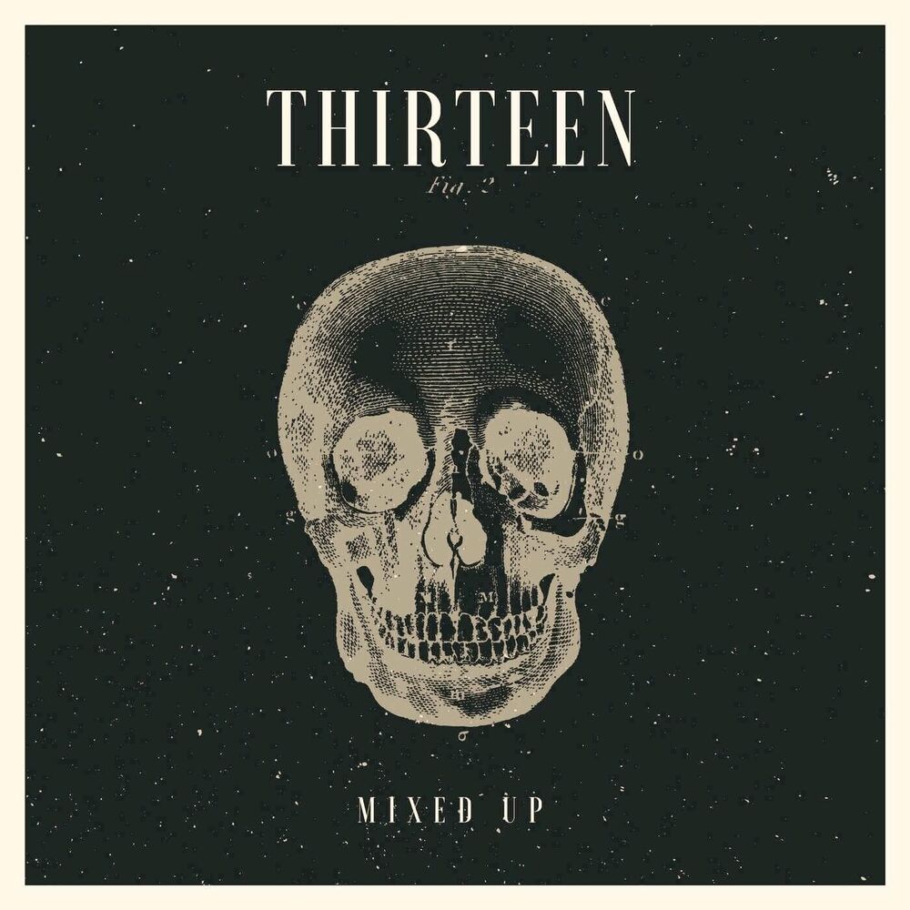 Picture of Thirteen