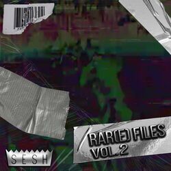 Cover of Rar(e) Files, Vol. 2