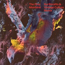 Cover of The Prey (Gui Boratto & Vintage Culture Remix)