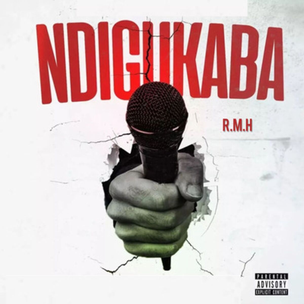 Album cover of Ndigukaba