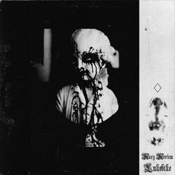 Cover of Waiting for the Day I Fall Asleep