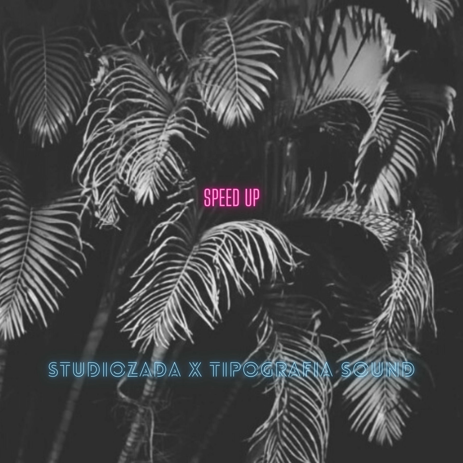 Album cover of Se a Vida Virar Speed