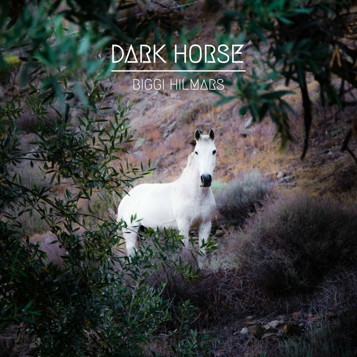Album cover of Dark Horse