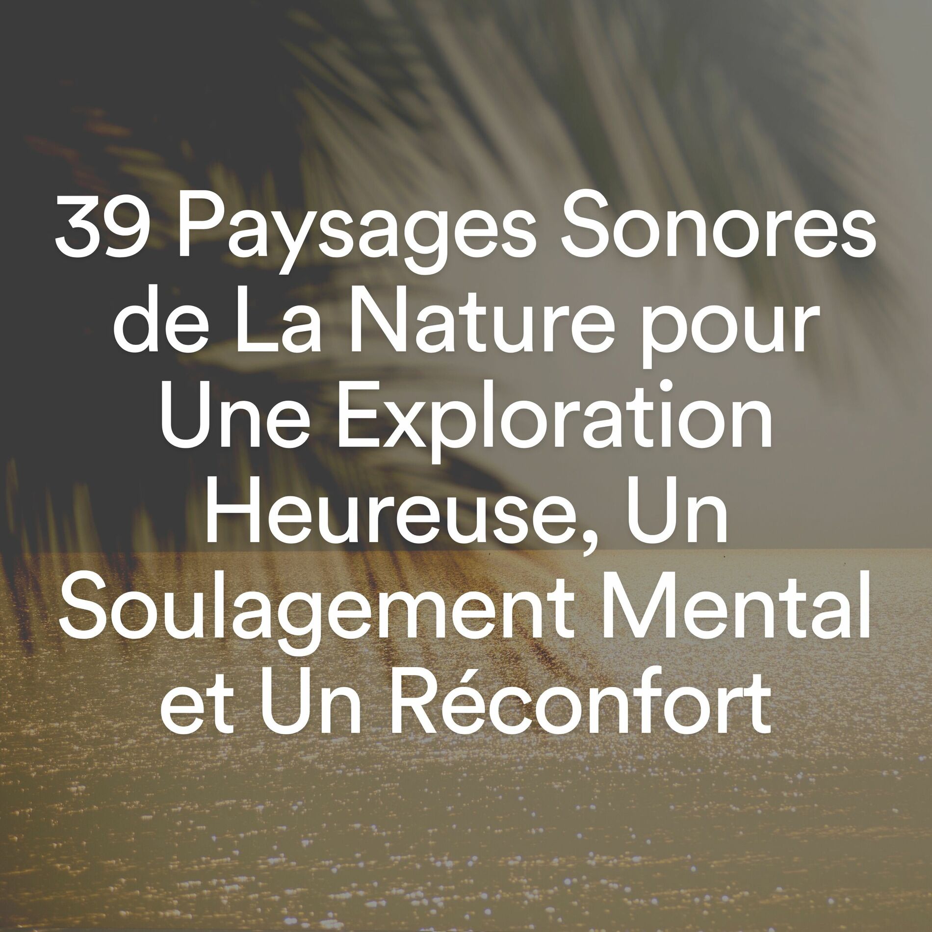 Album cover of 39 Paysages Sonores de La Nature pour Une Exploration Heureuse, Un Soulagement Mental et Un Réconfort